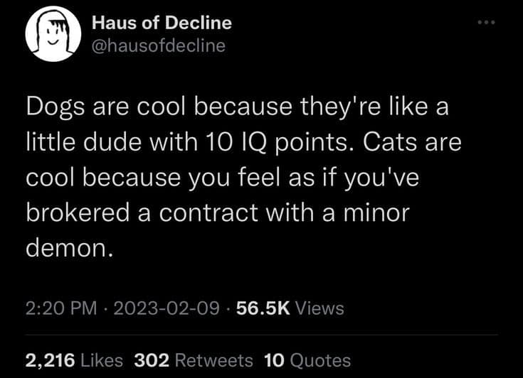 Haus of Decline @hausofdecline Dogs are cool because they're like a little dude with 10 IQ points. Cats are cool because you feel as if you've brokered a contract with a minor demon. 2:20 PM • 2023-02-09 • 56.5K Views 2,216 Likes 302 Retweets 10 Quotes
