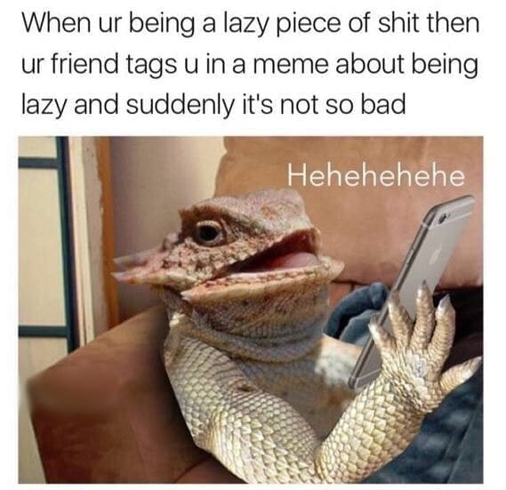 When ur being a lazy piece of shit then ur friend tags u in a meme about being lazy and suddenly it's not so bad Hehehehehe