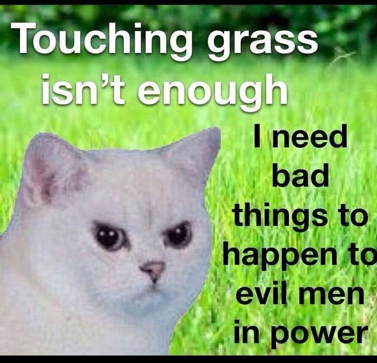 classic memes, vintage memes, viral tweets, internet memes, funny memes, timeless memes, evergreen memes, nostalgic memes, meme classics, old memes, best memes
