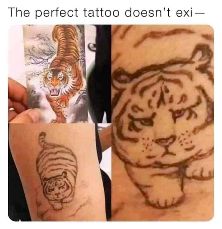 classic memes, vintage memes, viral tweets, internet memes, funny memes, timeless memes, evergreen memes, nostalgic memes, meme classics, old memes, best memes