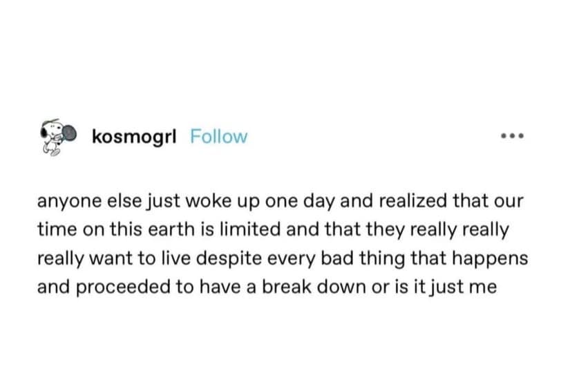 classic memes, vintage memes, viral tweets, evergreen memes, throwback memes, old memes, best memes, meme classics, reaction memes, internet classics, nostalgia memes, shareable memes, evergreen humor, meme archive, comedy classics, timeless jokes, group chat memes, viral humor