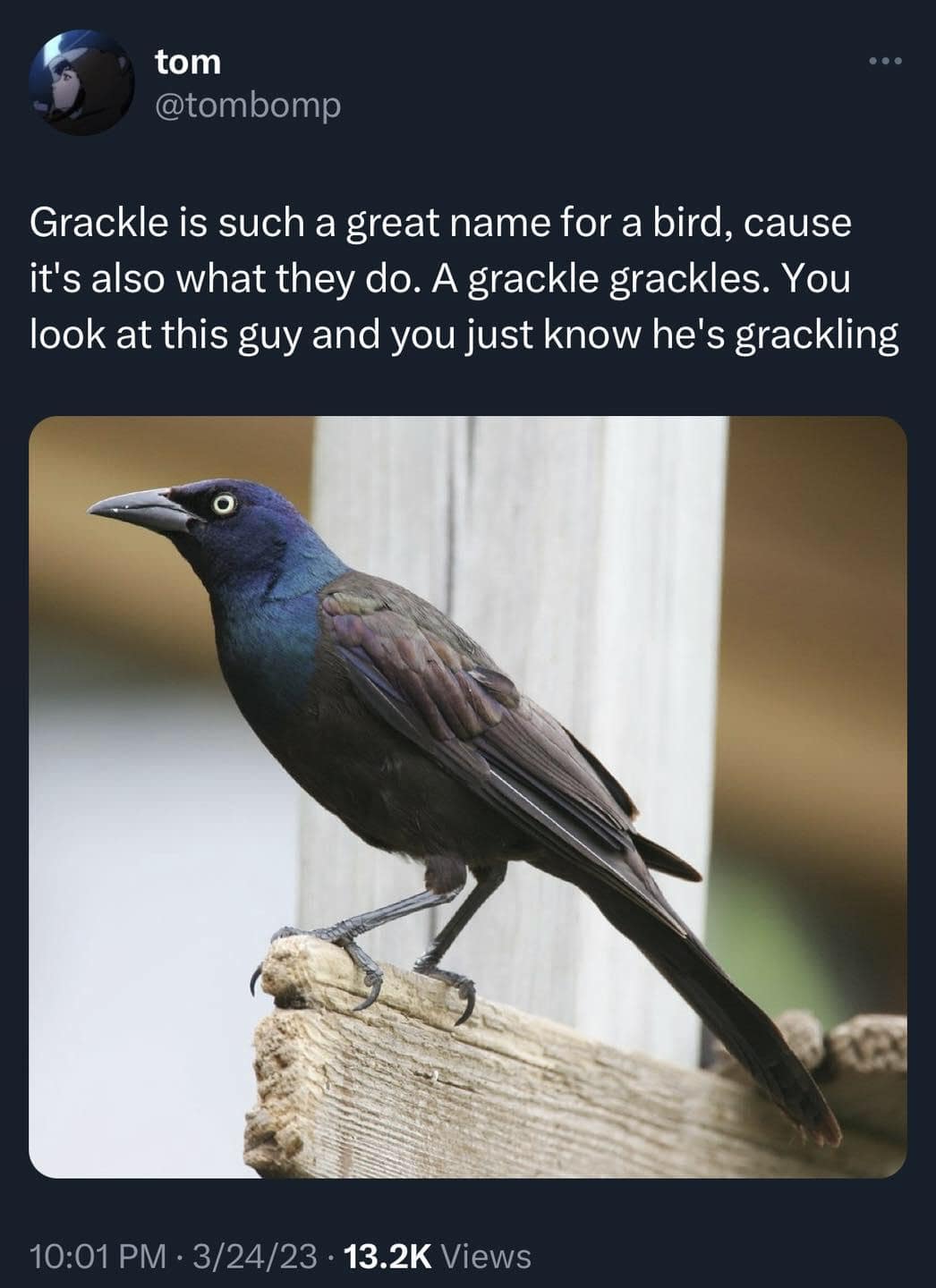 classic memes, vintage memes, viral tweets, evergreen memes, throwback memes, old memes, best memes, retro memes, internet classics, reaction memes, nostalgia memes, meme archive, timeless humor, meme history, digital nostalgia, original memes, viral humor, relatable memes, group chat memes, meme culture, shareable memes, comedy classics, nostalgic humor