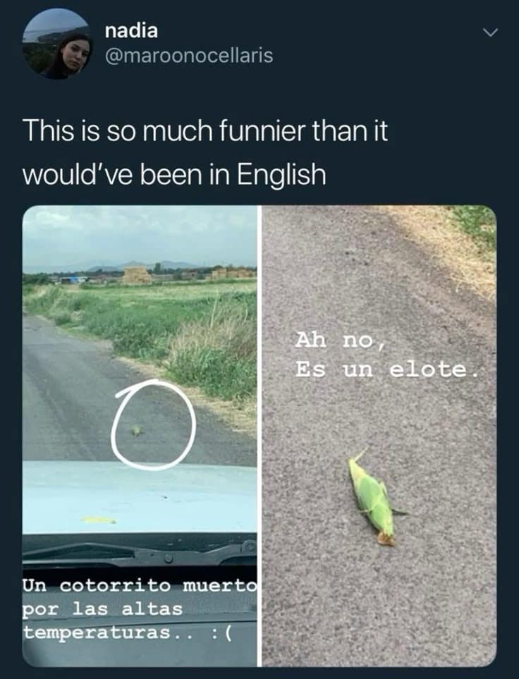 classic memes, vintage memes, viral tweets, internet memes, funny memes, timeless memes, evergreen memes, nostalgic memes, meme classics, old memes, best memes