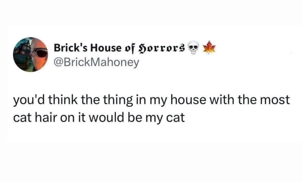 classic memes, vintage memes, viral tweets, internet memes, funny memes, timeless memes, evergreen memes, nostalgic memes, meme classics, old memes, best memes