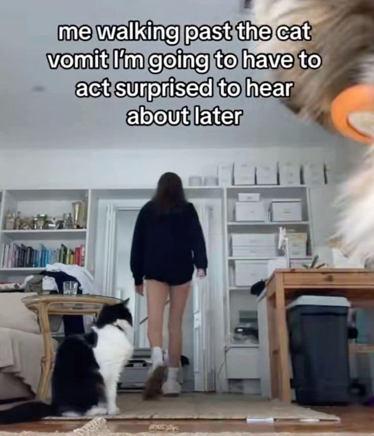 classic memes, vintage memes, viral tweets, internet memes, funny memes, timeless memes, evergreen memes, nostalgic memes, meme classics, old memes, best memes