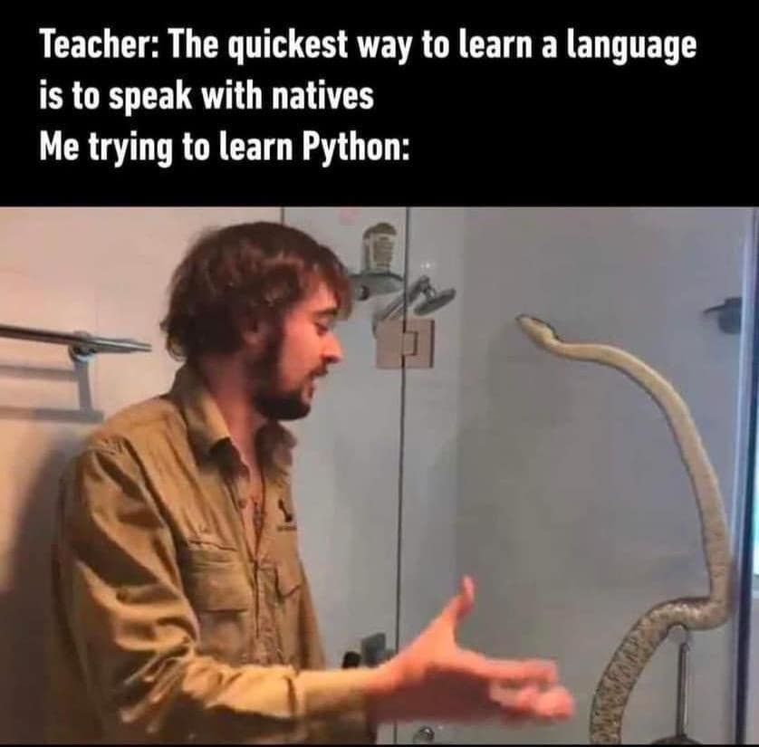 classic memes, vintage memes, viral tweets, funny memes, meme classics, internet humor, meme collection, timeless memes, old memes, popular memes, hilarious tweets, throwback memes, meme archive, meme nostalgia, funny viral moments, old memes, best memes