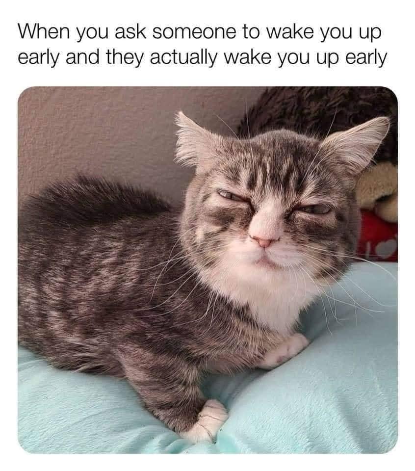 classic memes, vintage memes, viral tweets, internet memes, funny memes, timeless memes, evergreen memes, nostalgic memes, meme classics, old memes, best memes
