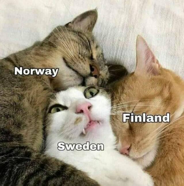 Norway Finland Sweden cat meme