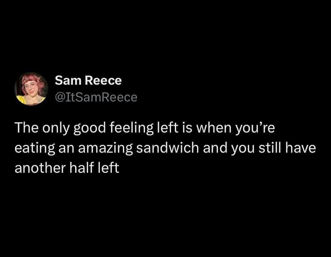 Sam Reece @ItSamReece The only good feeling left is when you're eating an amazing sandwich and you still have another half left