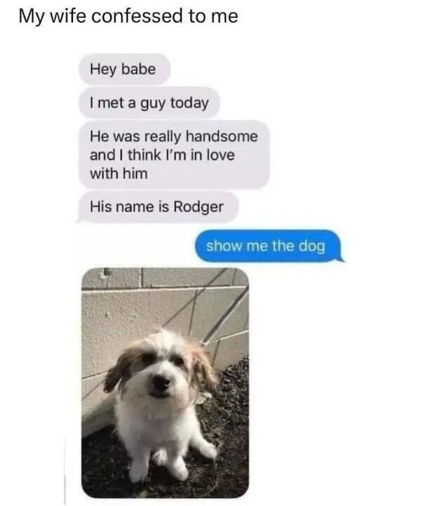 My wife confessed to me Hey babe I met a guy today He was really handsome and I think I'm in love with him His name is Rodger show me the dog