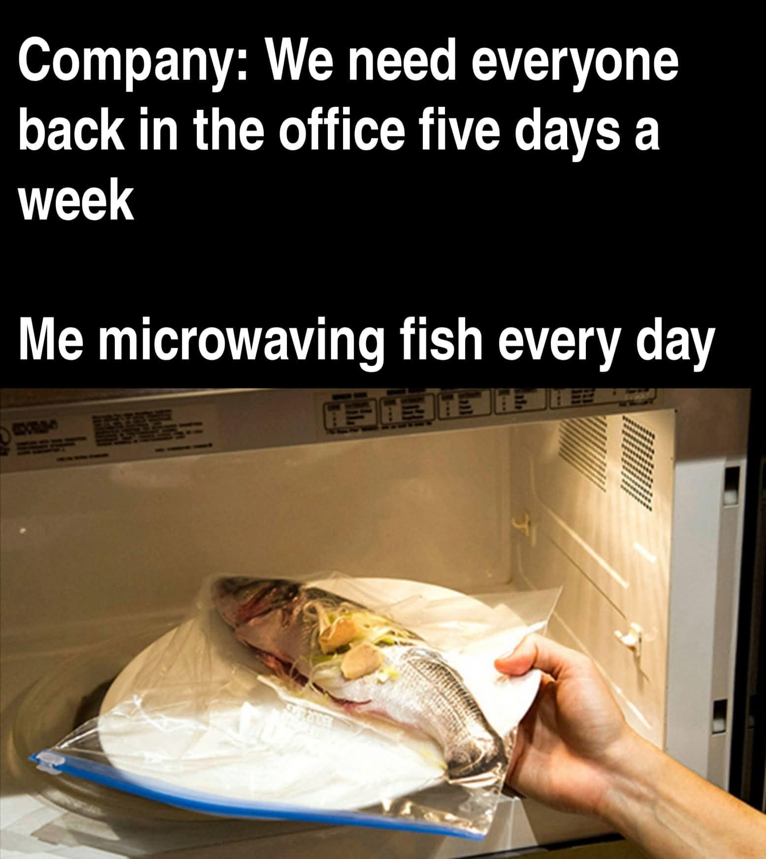 Company: We need everyone back in the office five days a week Me microwaving fish every day -