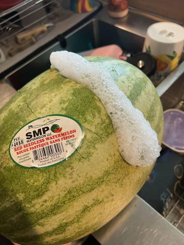 Seedless watermelon being washed with soap suds in sink