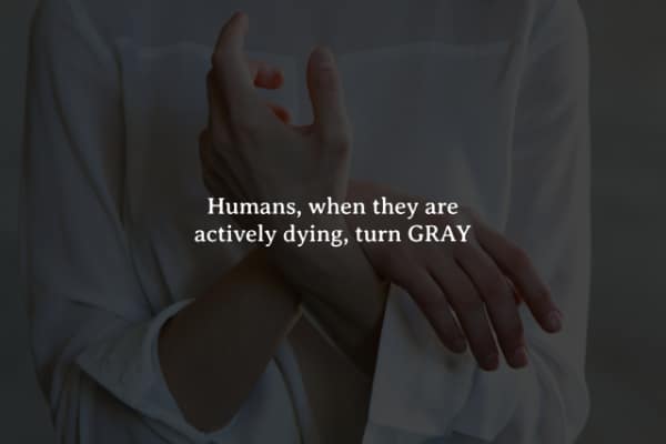 Humans, when they are actively dying, turn GRAY