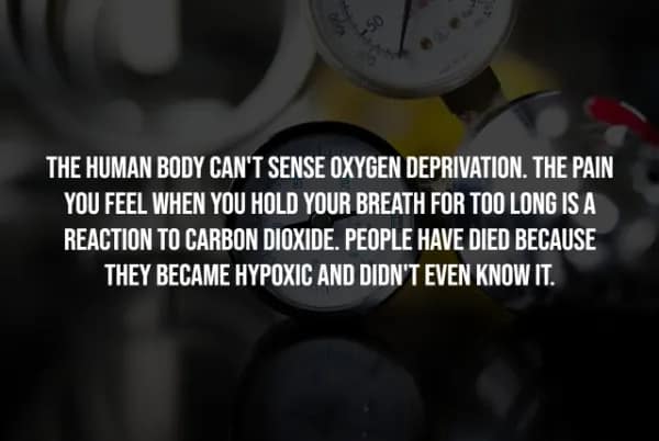 creepy facts, spooky facts, scary facts, weird facts, unsettling facts, strange facts, horror trivia, spine-tingling facts, dark facts, creepy trivia, disturbing facts, weird knowledge, horror facts, creepy information, scary knowledge, nightmare fuel