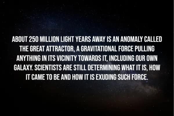 creepy facts, spooky facts, scary facts, weird facts, unsettling facts, strange facts, horror trivia, spine-tingling facts, dark facts, creepy trivia, disturbing facts, weird knowledge, horror facts, creepy information, scary knowledge, nightmare fuel