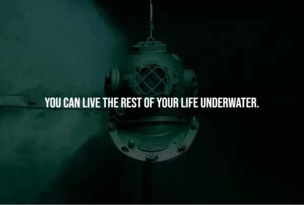 creepy facts, spooky facts, scary facts, weird facts, unsettling facts, strange facts, horror trivia, spine-tingling facts, dark facts, creepy trivia, disturbing facts, weird knowledge, horror facts, creepy information, scary knowledge, nightmare fuel