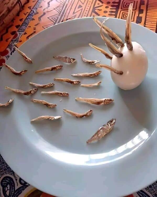 cursed food, cursed images, weird food combinations, food images, appetite memes, bizarre food, gross cake memes, food horror images, bizarre snack memes, viral food fails, cursed recipes, kitchen nightmares, strange eats, shock food pics, food mashups, foodie horror memes, edible nightmares, cringe food memes, experimental eats, tastebud terror, food shock value
