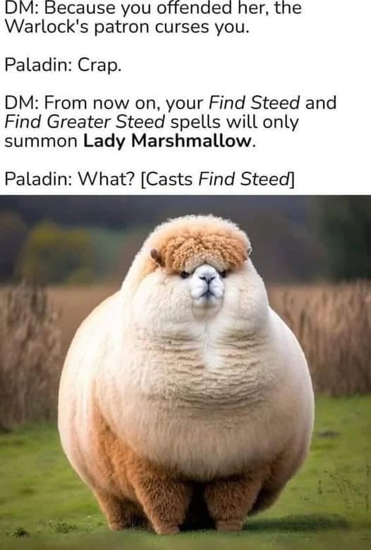 D&D memes paladin cursed summon lady marshmallow