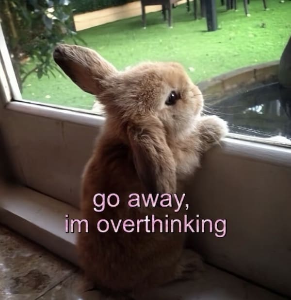 Cute brown bunny sitting by a window with text overlay.