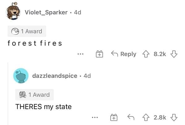 Forest fires meme about state identity on Reddit