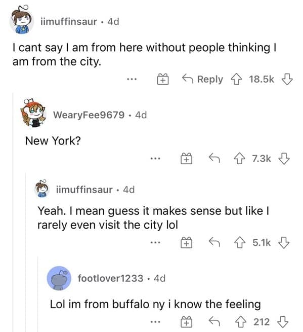 New York state meme about city assumptions