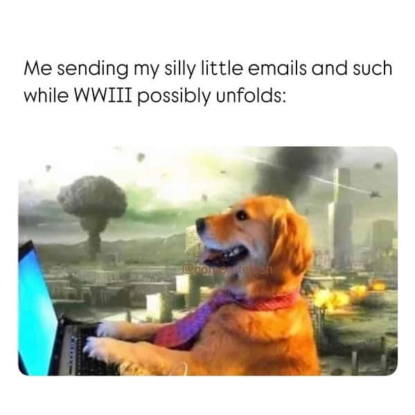 email memes, work memes, office memes, funny emails, work humor, inbox memes, email fails, workplace struggles, relatable memes, hilarious memes, corporate life memes, funny office pictures, passive-aggressive emails, email anxiety, meme compilation