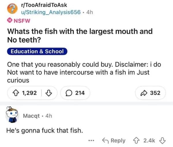 NSFW fish question sparks suspicious Reddit comment