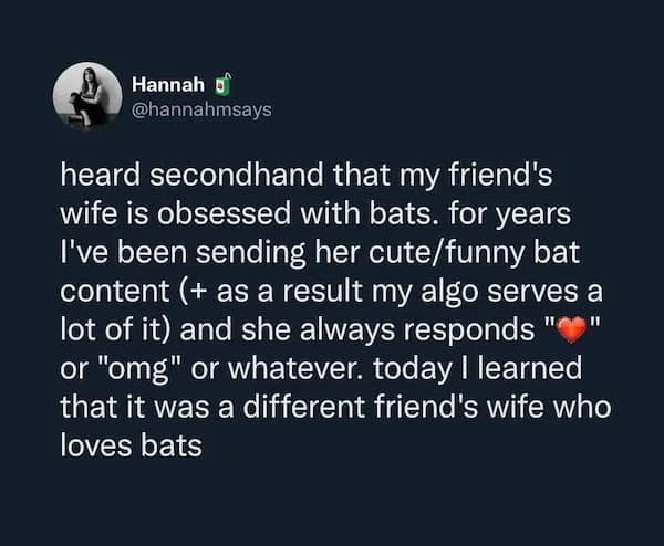 Woman sends bat memes for years to wrong wife