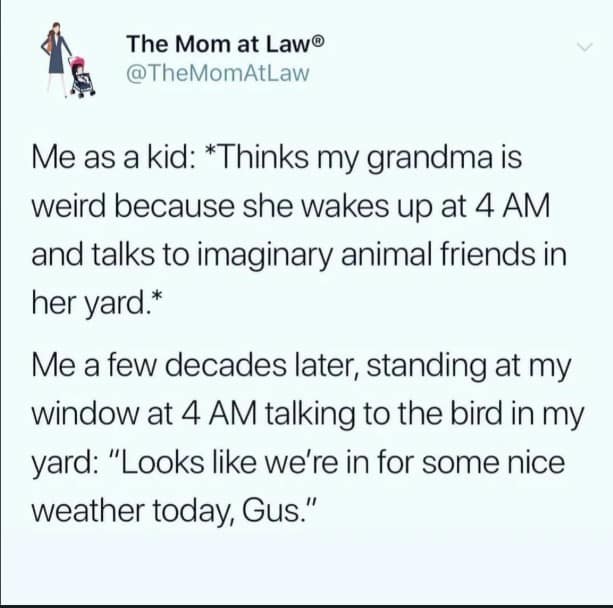 extremely specific memes, niche memes, relatable memes, oddly specific memes, hyper‑specific memes, meme precision, life detail memes, micro‑moment memes, niche humor, very specific memes, scenario memes, detail memes, quirky memes, life hack memes, personal memes, absurdly precise memes, daily life memes, meme relatability, micro‑obsession memes, hyper‑real memes