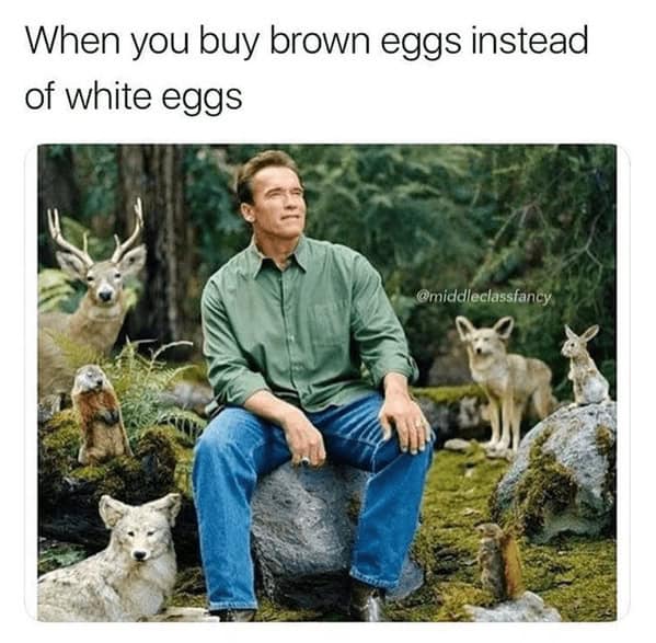 When you buy brown eggs instead of white eggs