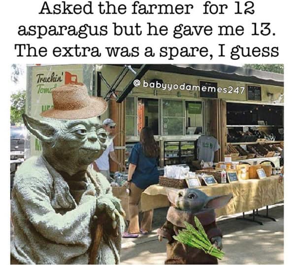 Asked the farmer for 12 asparagus but he gave me 13. The extra was a spare, I guess