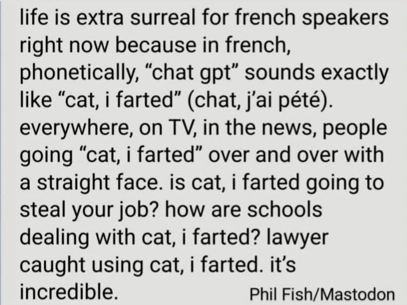 life is extra surreal for french speakers right now because in french, phonetically, "chat gpt" sounds exactly like "cat, i farted" (chat, j'ai pété). everywhere, on TV, in the news, people going "cat, i farted" over and over with a straight face. is cat, i farted going to steal your job? how are schools dealing with cat, i farted? lawyer caught using