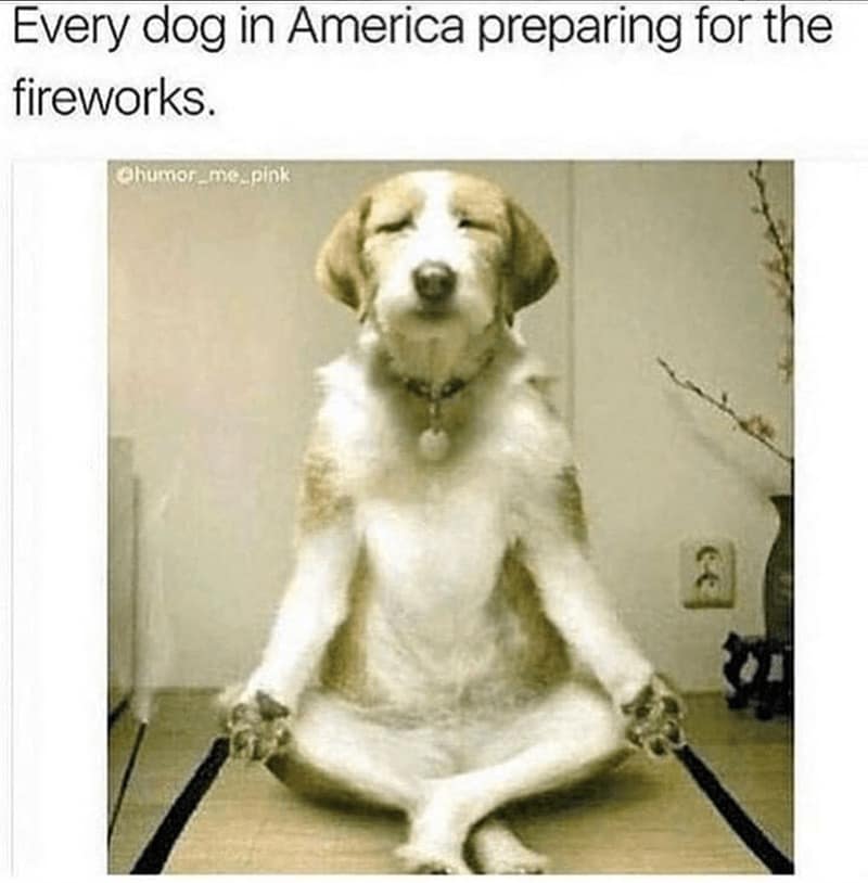 fireworks memes, Fourth of July memes, July 4th memes, Independence Day memes, fireworks fail memes, fireworks jokes, fireworks accident memes, scared pet memes, dog fireworks memes, cat fireworks memes
