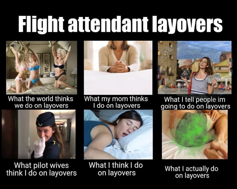 Flight attendant layovers