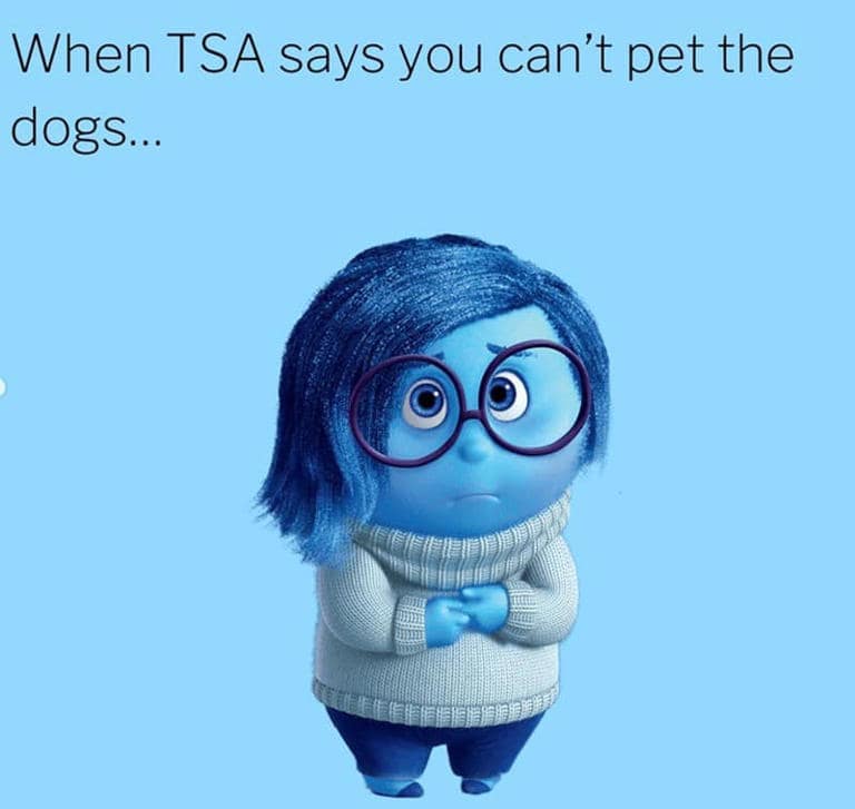 funny TSA memes, TSA memes, security memes, TSA shoe memes, airport security humor, travel humor, screening memes, luggage memes, TSA jokes, TSA humor, no-shoe security, TSA shoe memes, travel anxiety memes, carry-on memes, waiting in line memes, TSA shoe rule