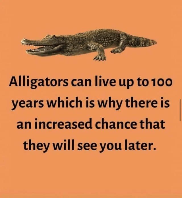 funny comebacks, clapback memes, comeback memes, savage memes, snarky memes, internet comebacks, meme clapback, sarcastic memes, troll memes, diss memes, reaction memes, burn memes, comment section memes, viral comebacks, takedown memes, humor defense, meme arsenal