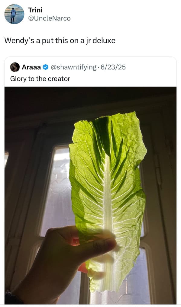 funny comments, humorous responses, witty comebacks, amusing remarks, social media humor, digital banter, interactive jokes, forum entertainment, witty replies, sharp retorts, comedic feedback, cunning counters, internet jokes, web-based humor, online comedic lines, chat-based gags