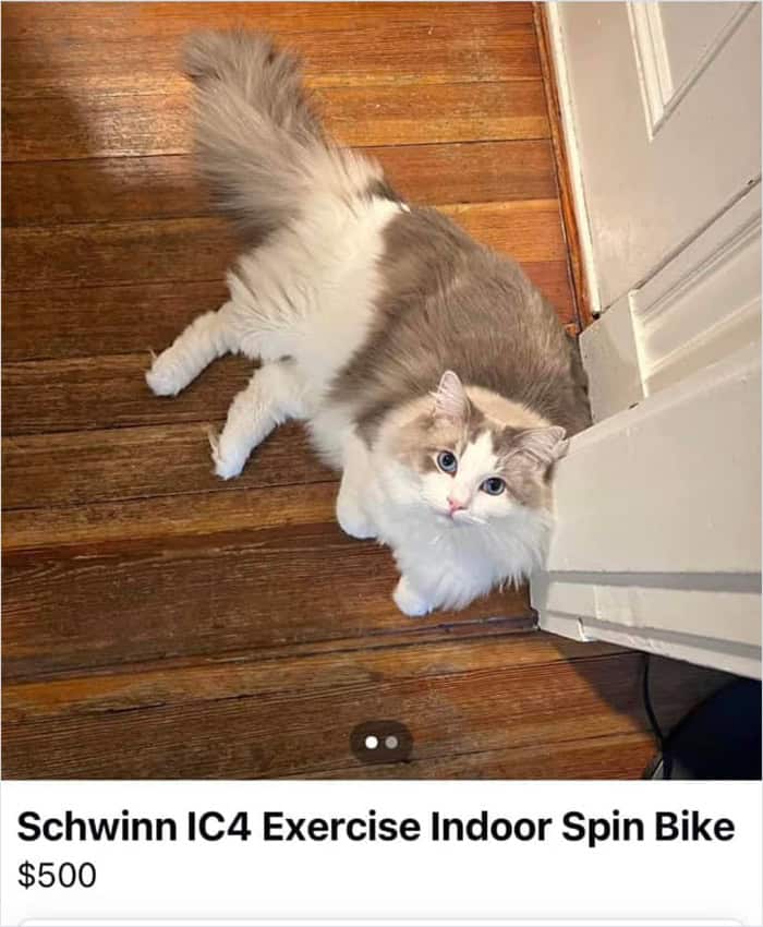 funny facebook marketplace, marketplace memes, bizarre listings, yard sale humor, online classifieds, digital flea market, listing memes, marketplace finds, unhinged ads, accidental comedy memes, weird sale listings, secondhand humor, e‑commerce memes, listing fails, random marketplace memes, social media buys, oddity listings, bargain memes, unfiltered listings, marketplace gold