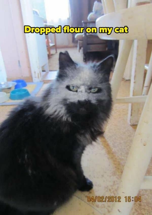 funny fails, hilarious fails, amusing fails, epic fails, humorous accidents, comical mishaps, amusing incidents