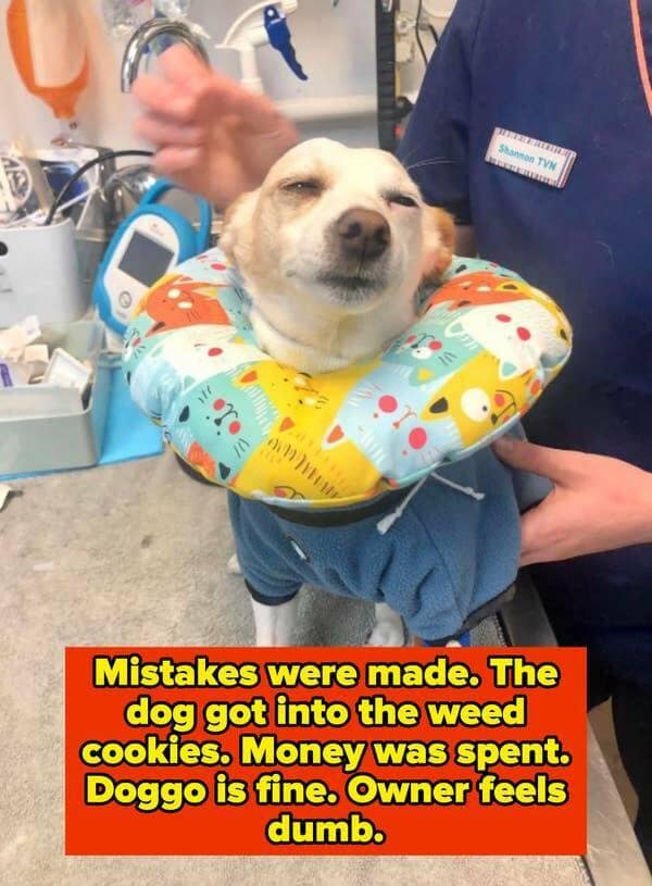 funny fails, hilarious fails, amusing fails, epic fails, humorous accidents, comical mishaps, amusing incidents