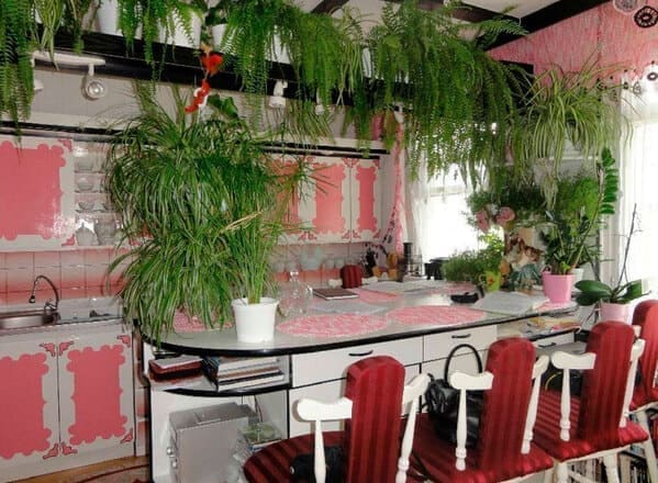 Kitchen overcrowded with hanging and potted plants, making appliances nearly inaccessible