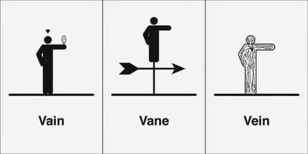 Vain, vane, and vein with self-love, weather arrow, and body part