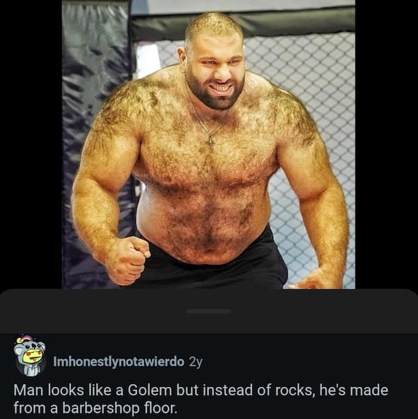 Funny insults meme of a muscular hairy man compared to a golem made from a barbershop floor