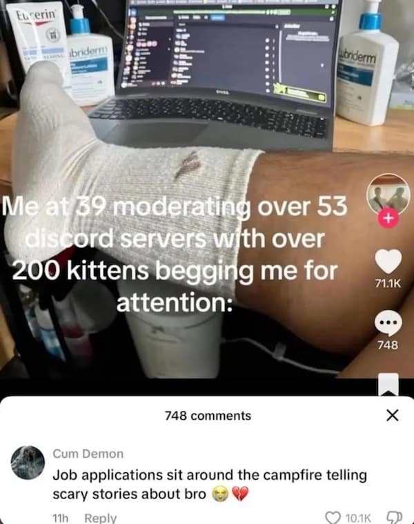 Funny insults meme about moderating discord servers with a dirty sock and job application roast