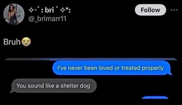 funny insults, savage roasts, savage insults, witty comebacks, clever roasts, brutal roasts, epic burns, hilarious clapbacks, comeback memes, roast memes, insult jokes, snarky humor, sarcastic memes, witty memes, roasting humor, burn jokes