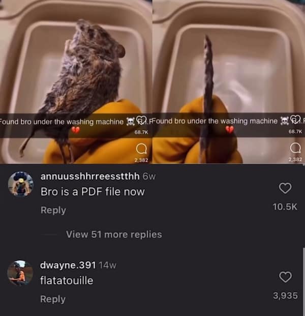 funny insults, savage roasts, comedic roast lines, mocking wisecracks, pointed barbs, roast lines, burn commentary, harsh comedic retorts, witty comebacks, quick comedic responses, retort artistry, savage humor, strong comedic hits, meltdown-level jokes