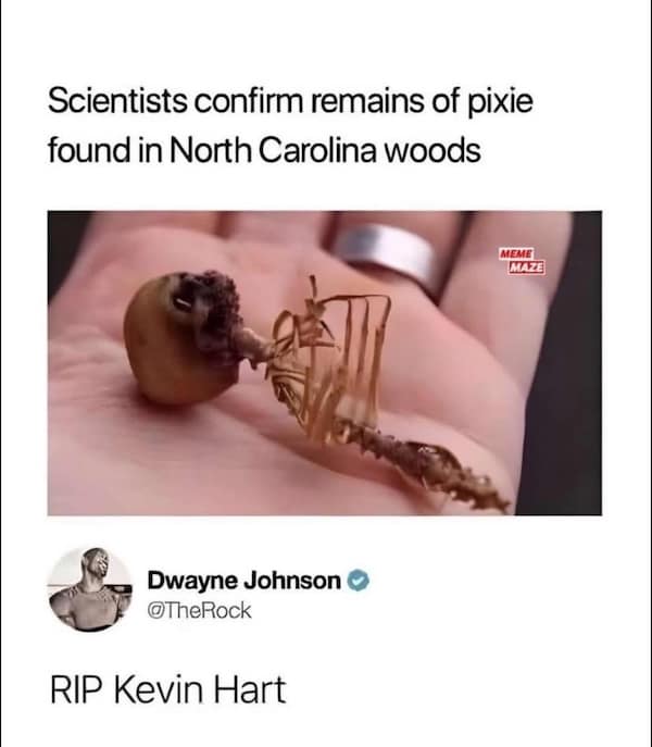 funny insults, savage roasts, comedic roast lines, mocking wisecracks, pointed barbs, roast lines, burn commentary, harsh comedic retorts, witty comebacks, quick comedic responses, retort artistry, savage humor, strong comedic hits, meltdown-level jokes