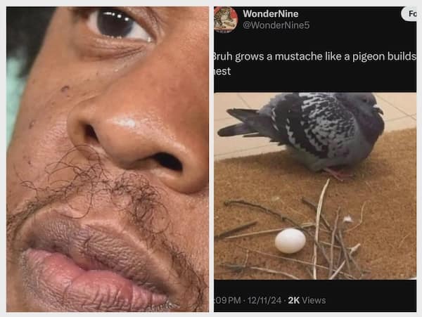 funny insults, savage roasts, savage insults, witty comebacks, clever roasts, brutal roasts, epic burns, hilarious clapbacks, comeback memes, roast memes, insult jokes, snarky humor, sarcastic memes, witty memes, roasting humor, burn jokes