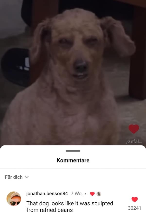 funny insults, savage roasts, savage insults, witty comebacks, clever roasts, brutal roasts, epic burns, hilarious clapbacks, comeback memes, roast memes, insult jokes, snarky humor, sarcastic memes, witty memes, roasting humor, burn jokes