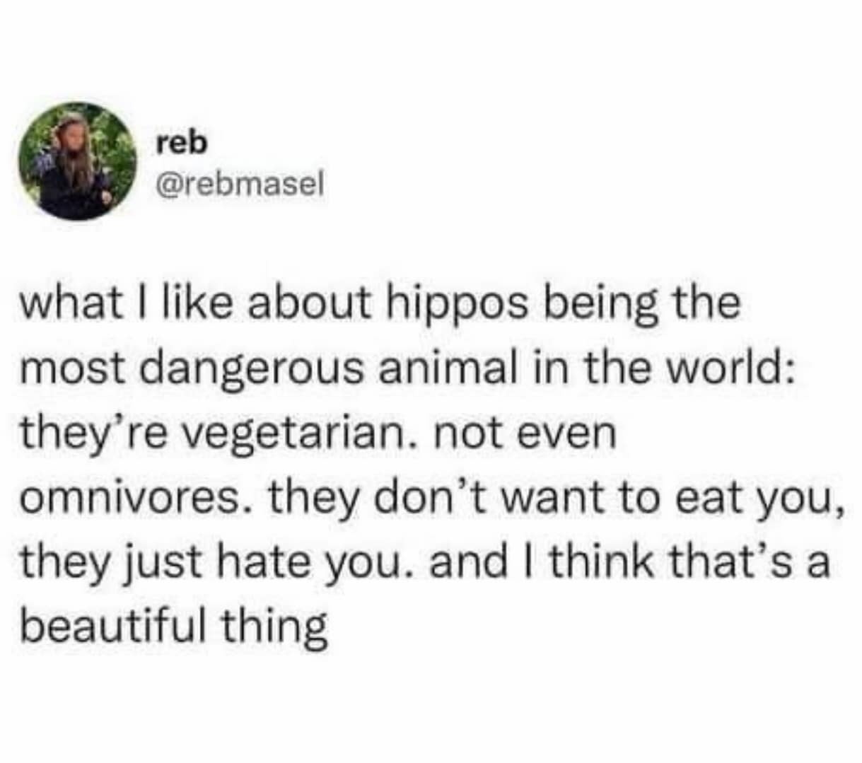 what I like about hippos being the most dangerous animal in the world: they're vegetarian. not even omnivores. they don't want to eat you, they just hate you. and I think that's a beautiful thing